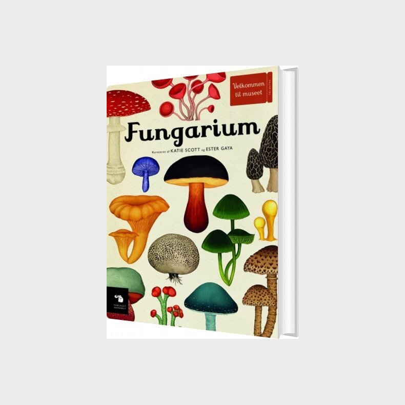 Fungarium - Katie Scott - Bog