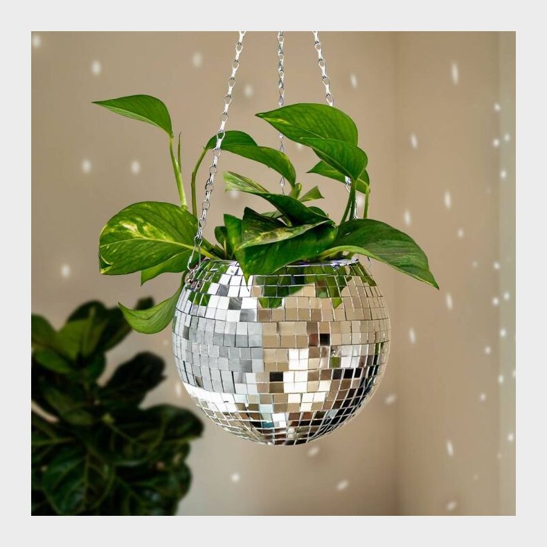Funky Disco Planter