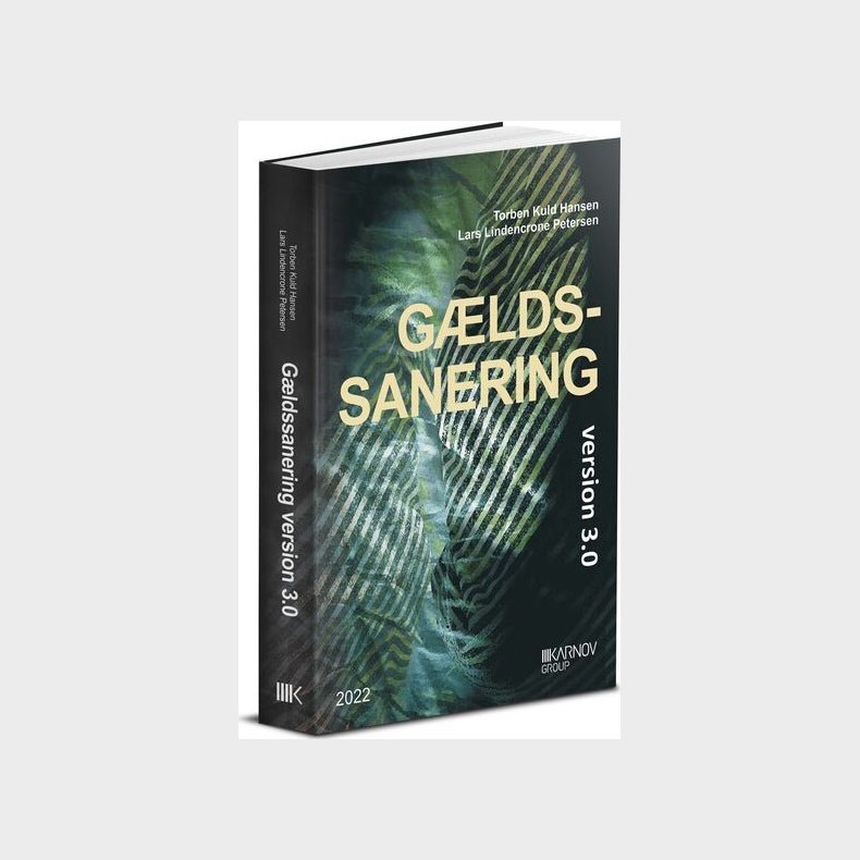 G�ldssanering Version 3.0 - Lars Lindencrone Petersen - Bog