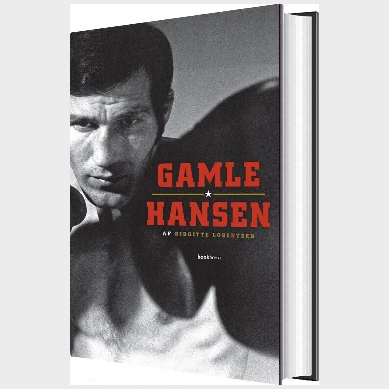 Gamle Hansen - Birgitte Lorentzen - Bog