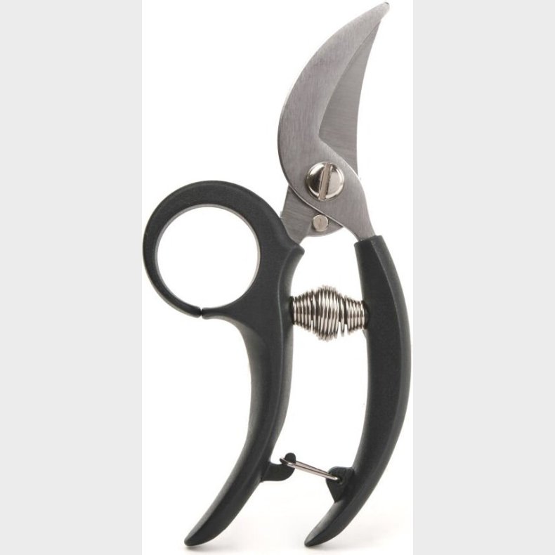 Kikkerland - Havesaks