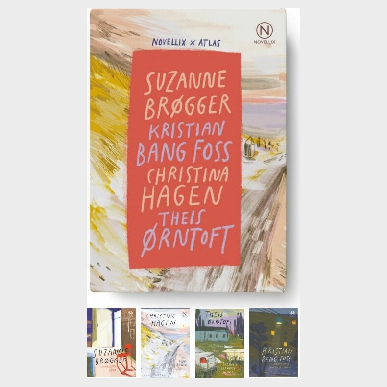 Fire Essays Fra Novellix - Suzanne Br�gger - Bog