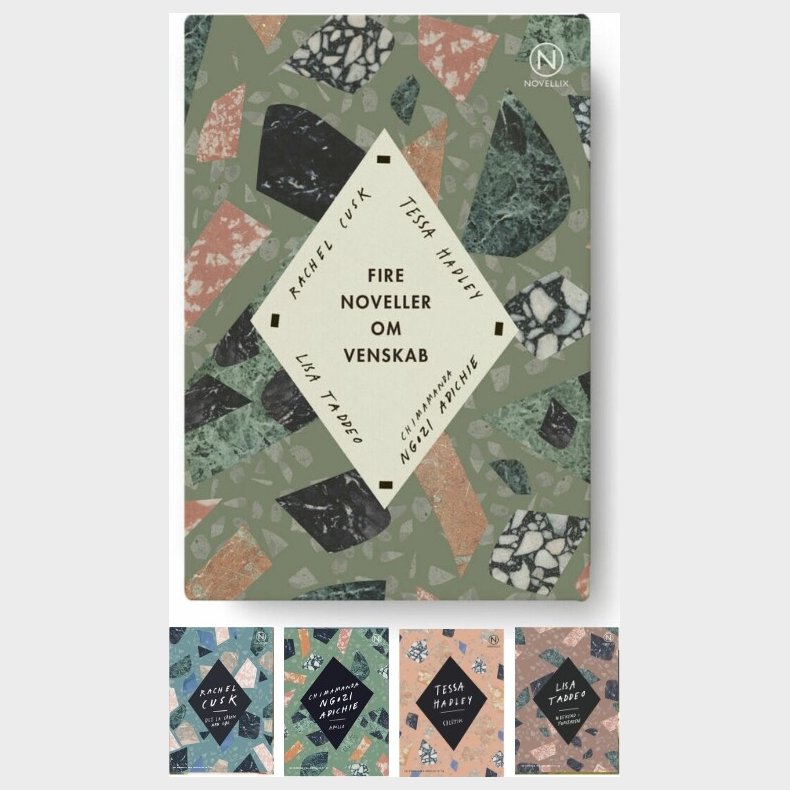 Gave�ske Med Fire Noveller Om Venskab - Chimamanda Ngozi Adichie - Bog