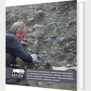 Gefjon 6 - Trine Louise Borake - Bog