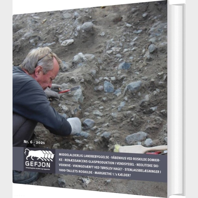 Gefjon 6 - Trine Louise Borake - Bog