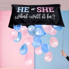 Gender Reveal Ballon St - Mikamax