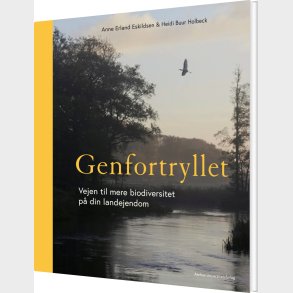Genfortryllet - Heidi Buur Holbeck - Bog