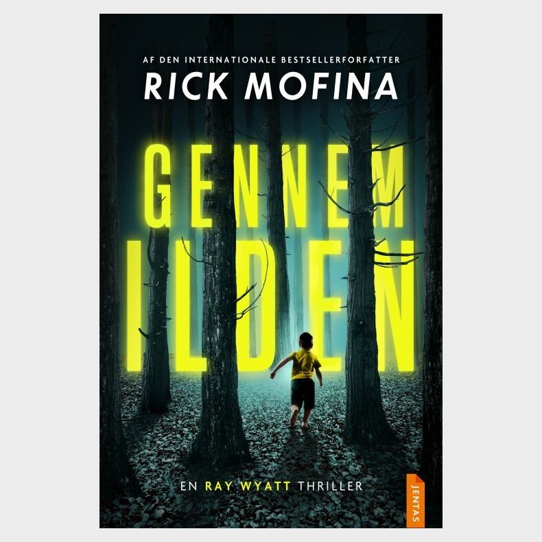 Gennem Ilden - Rick Mofina - Bog