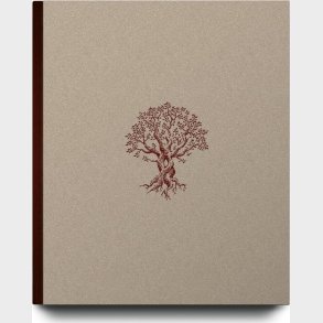 Gennem jetret - Mathias Svold - Bog