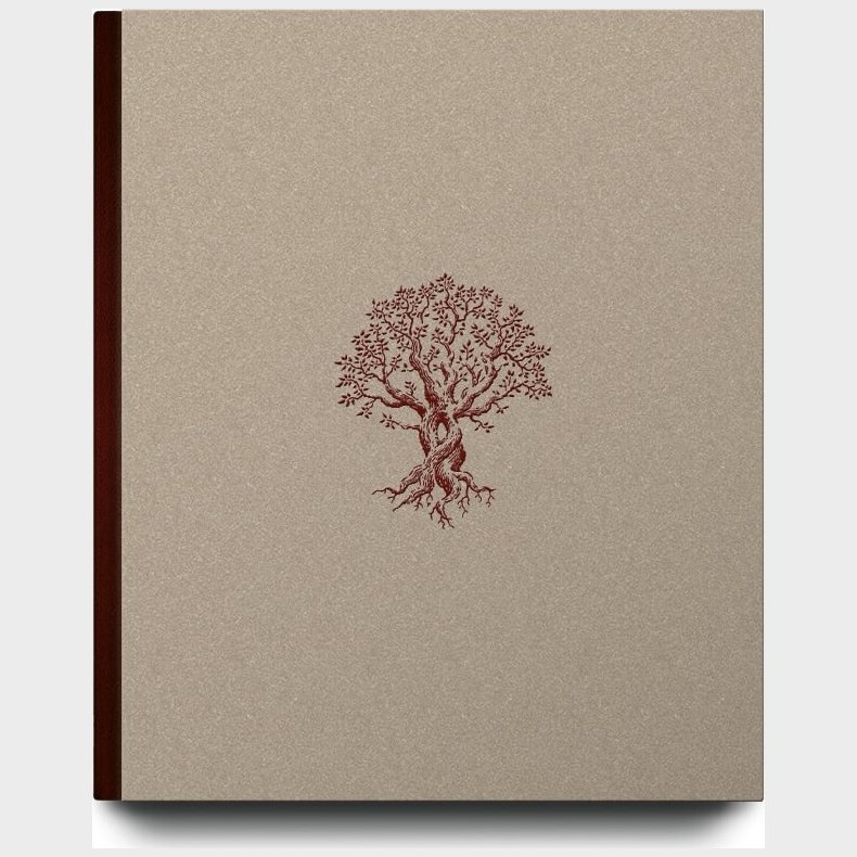 Gennem jetret - Mathias Svold - Bog