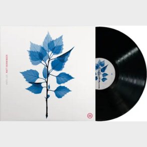 Matt Berninger - Get Sunk - Vinyl Lp