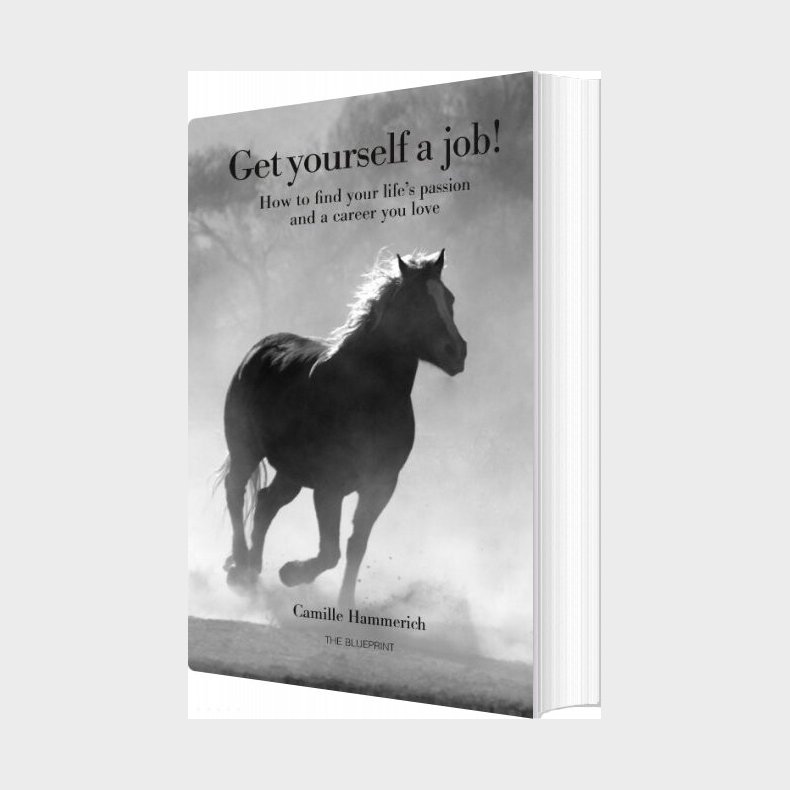 Get Yourself A Job - Camille Hammerich - English Book