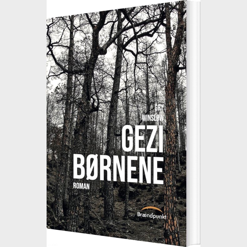 Gezi B�rnene - Gry Winsl�w - Bog
