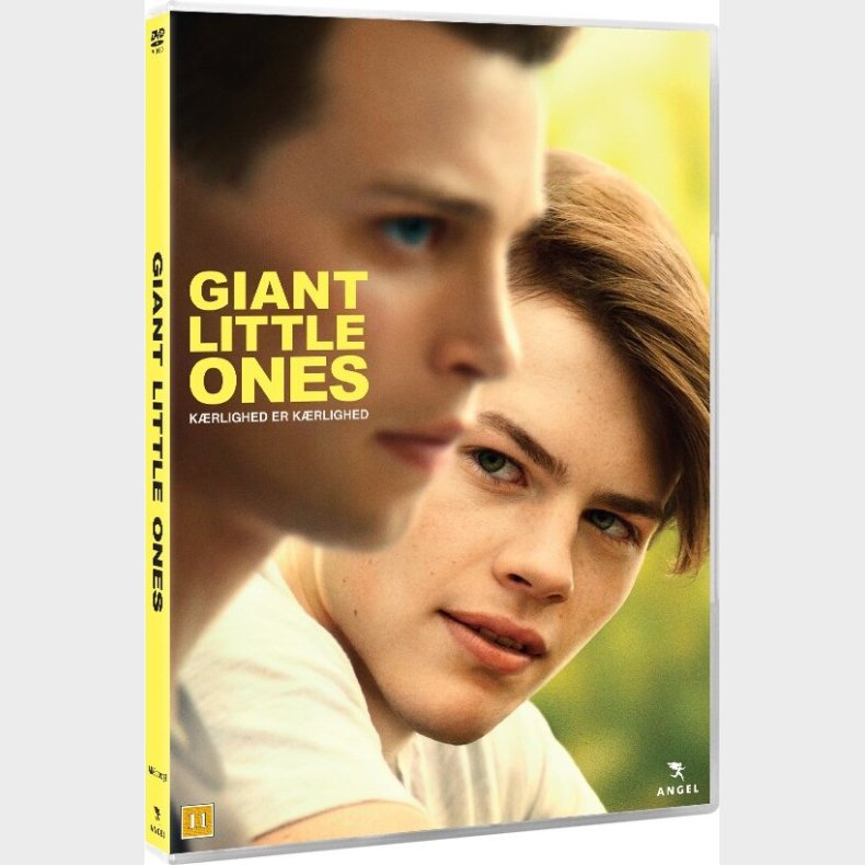 Giant Little Ones - DVD - Film