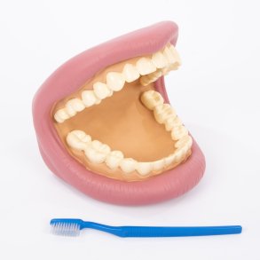 TickiT | Lr om tandbrstning