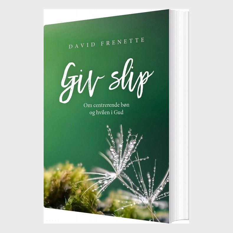 Giv Slip - David Frenette - Bog
