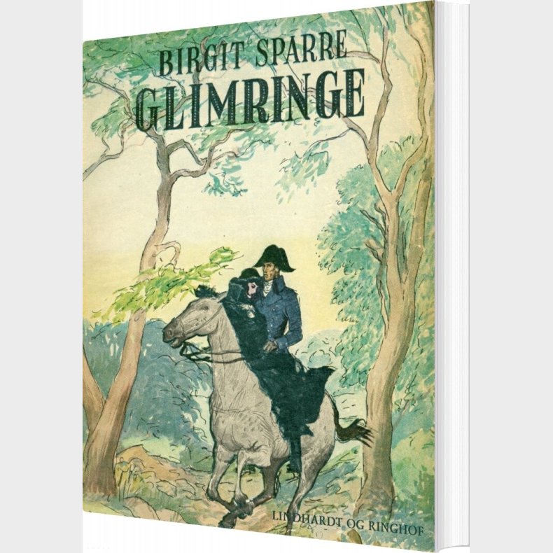 Glimringe - Birgit Sparre - Bog