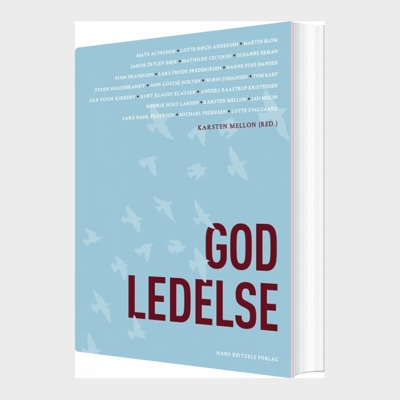 God Ledelse - Steen Hildebrandt - Bog