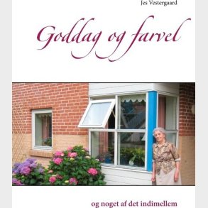 Goddag Og Farvel - Jes Vestergaard - Bog