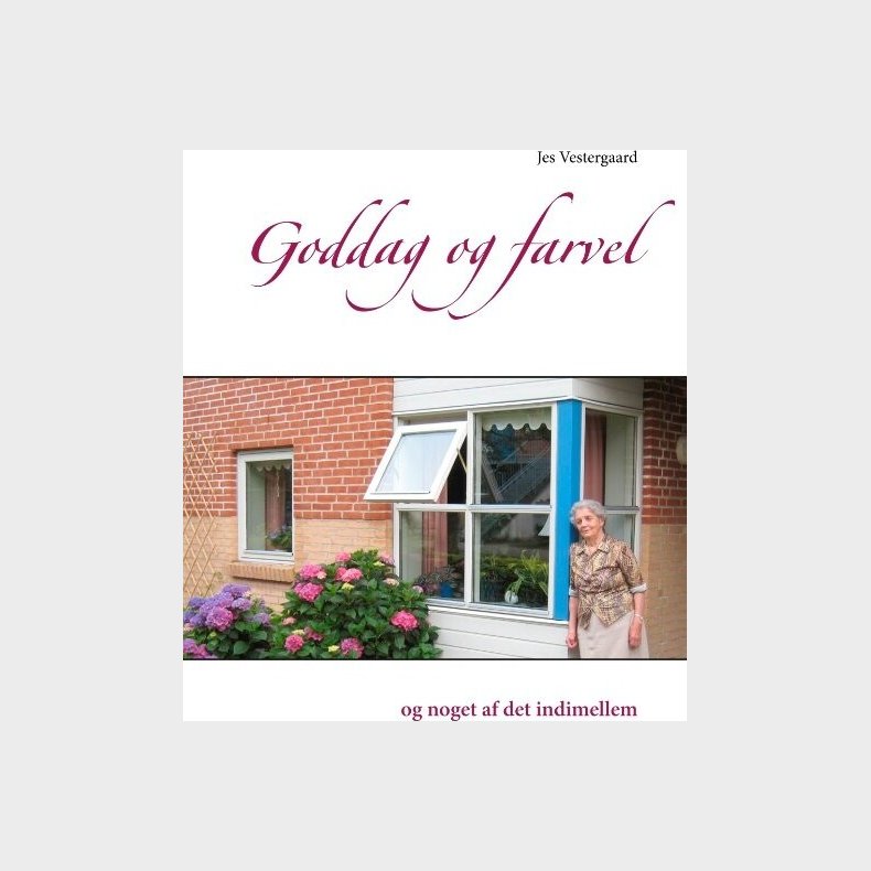 Goddag Og Farvel - Jes Vestergaard - Bog