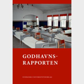 Godhavnsrapporten - Maria Rytter - Bog