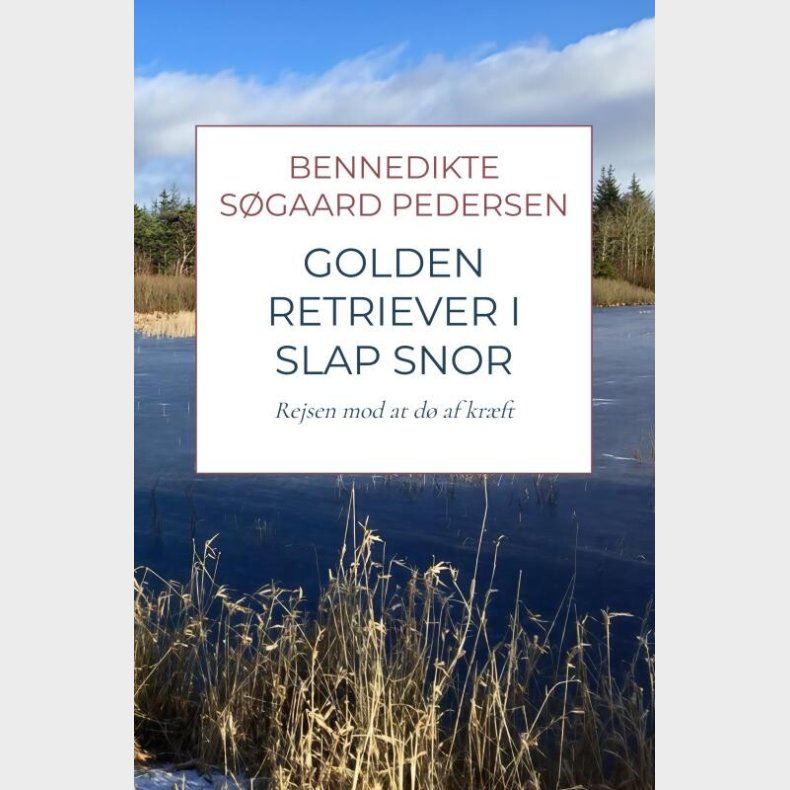 Golden Retriever I Slap Snor - Bennedikte S�gaard Pedersen - Bog