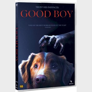 Good Boy - DVD - Film