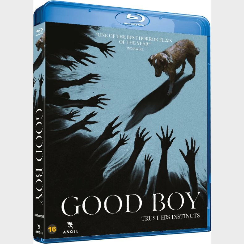Good Boy - Blu-Ray