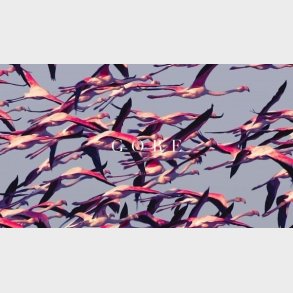 Deftones - Gore - Vinyl Lp