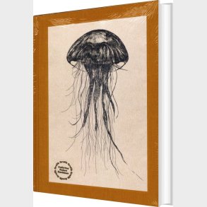 Grafik 1998-2022 - Cathrine Raben Davidsen - English Book