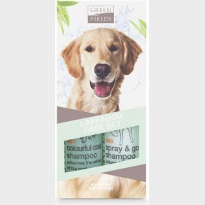 Pelspleje St Til Labrador Hunde 2x250 Ml - Blond - Greenfields
