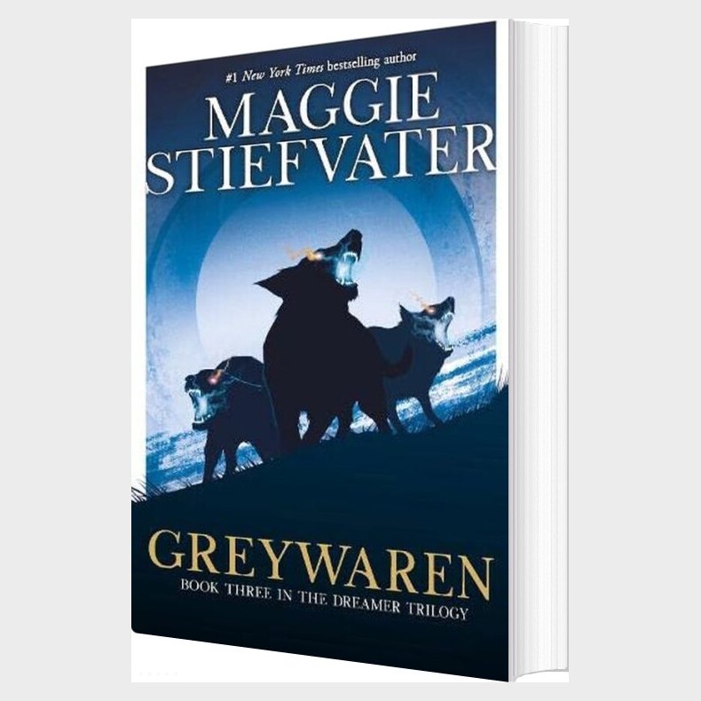 Greywaren - Maggie Stiefvater - English Book