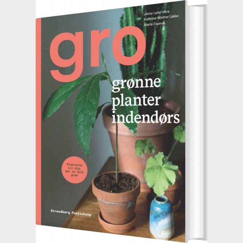 Gro - Jenny Leite-vikra - Bog