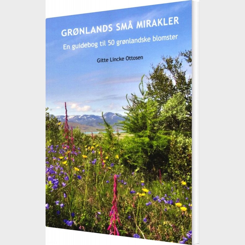 Gr�nlands Sm� Mirakler - Gitte Lincke Ottosen - Bog