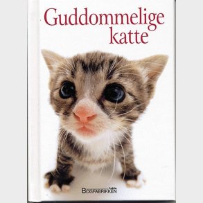 Guddommelige Katte - Helen Exley - Bog