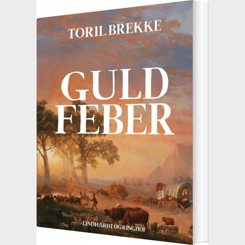 Guldfeber - Toril Brekke - Bog