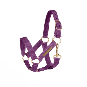 Cheval Roi | Cheval Roi tilbehr - Grime, Ametyst