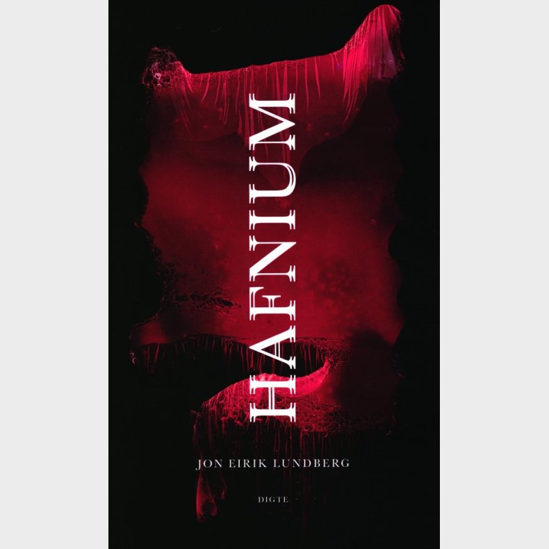 Hafnium - Jon Eirik Lundberg - Bog