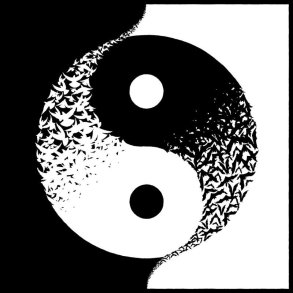 Magtens Korridorer - Halvt Til Helt - CD