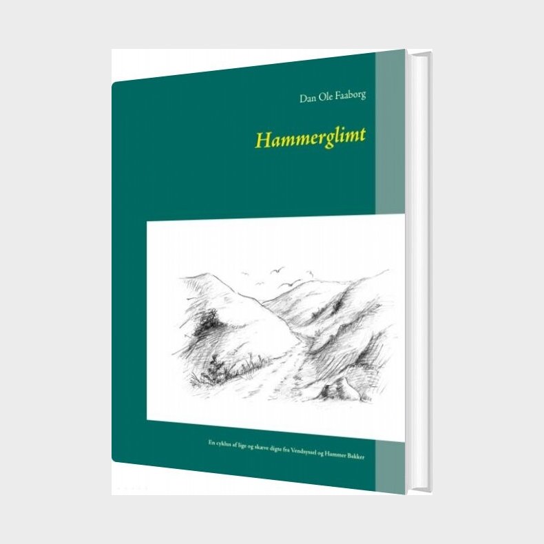 Hammerglimt - Dan Ole Faaborg - Bog