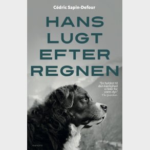 Hans Lugt Efter Regnen - Cdric Sapin-defour - Bog