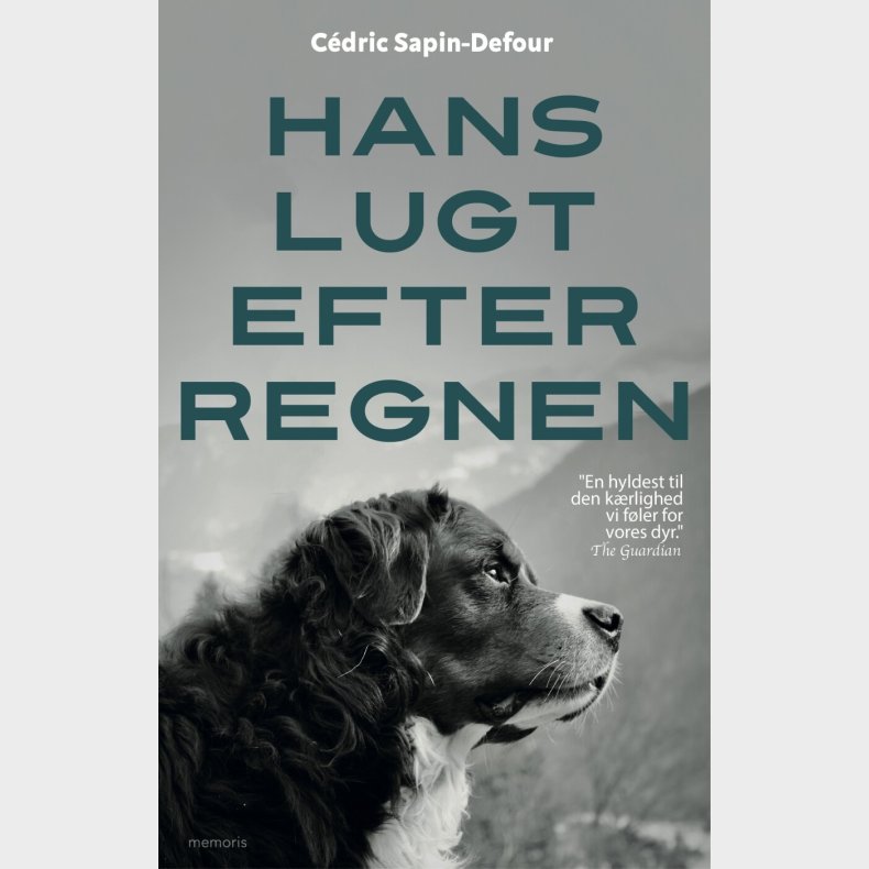 Hans Lugt Efter Regnen - Cdric Sapin-defour - Bog