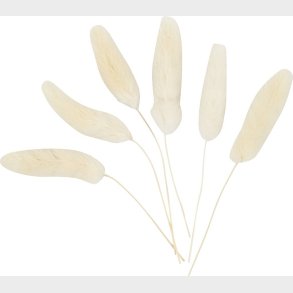 Harehale - L 3-7 Cm - 6 Stk.