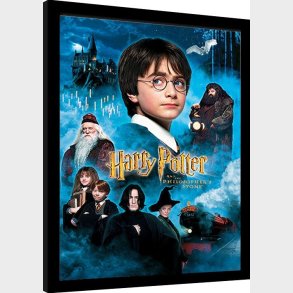 Harry Potter Og De Vises Sten - DVD - Film