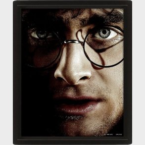Harry Potter (harry Vs Voldemort) - Framed