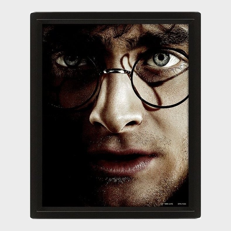 Harry Potter (harry Vs Voldemort) - Framed