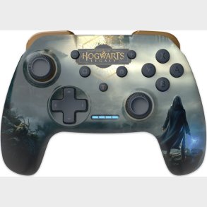 Hogwarts Legacy - Switch Controller - Trdls - Harry Potter