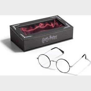 Harry Potters Glasses