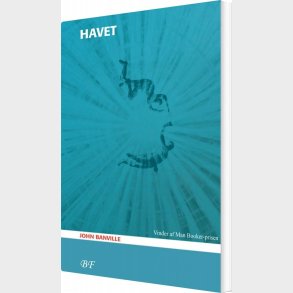 Havet - John Banville - Bog