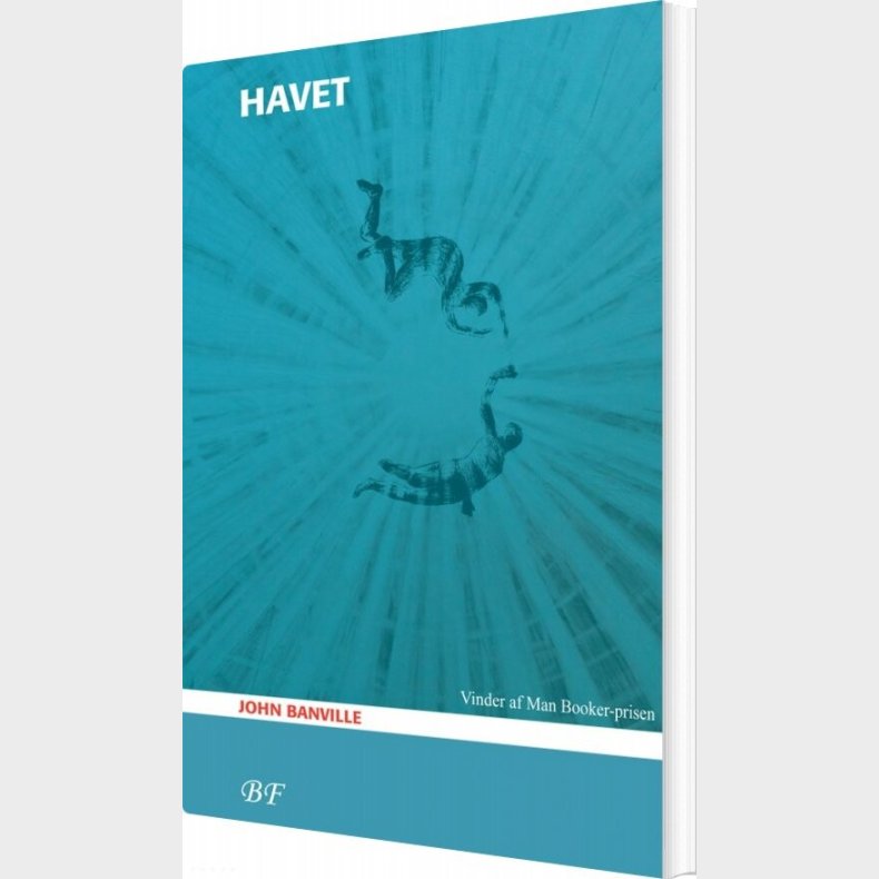 Havet - John Banville - Bog